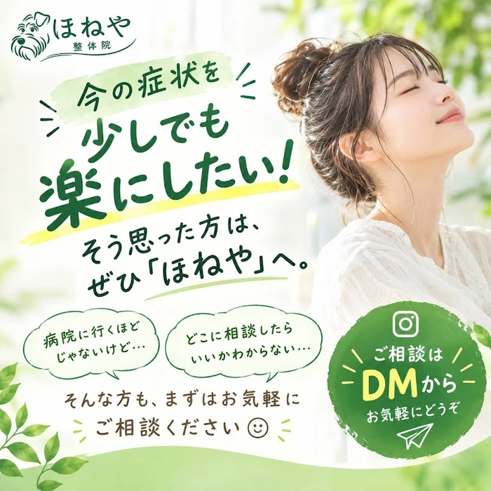 画像242